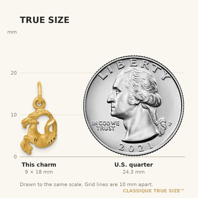 14K Satin Diamond-cut Capricorn Zodiac Charm, 18 x 9mm