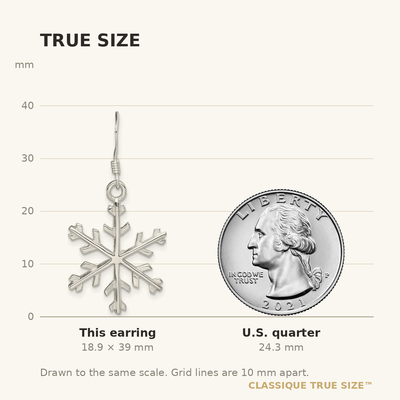 Sterling Silver Snowflake Dangle Earrings, 39 x 20mm