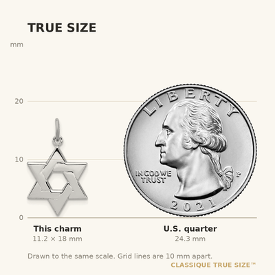 Sterling Silver Platinum-plated Star of David Charm, 18 x 14mm
