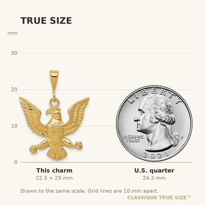 14K Eagle Charm, 29 x 21.5mm