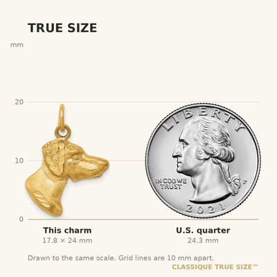 14K Dog Charm, 24 x 17mm