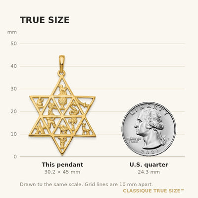 14K Star Of David 12 Tribes Pendant