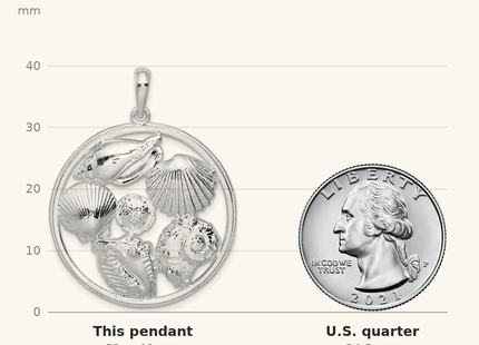 Classique True Size: De-Ani Sterling Silver Rhodium-plated Polished Shells Large Round Pendant shown next to a US quarter (24.3 mm)