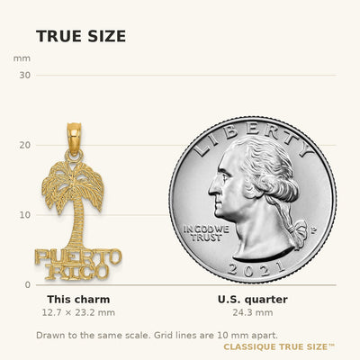 14K Flat PUERTO RICO Under Palm Tree Charm