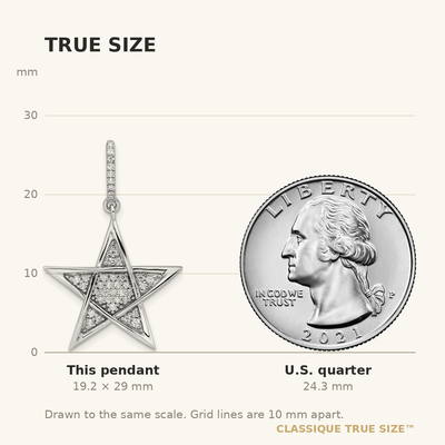 14K White Gold Polished Diamond Star Pendant
