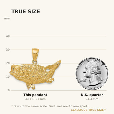 14K Polished Open-Backed Bass Fish Pendant, 31 x 18mm