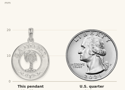 Classique True Size: De-Ani Sterling Silver Rhodium-Plated Polished Sanibel Circle with Palm Tree Pendant shown next to a US quarter (24.3 mm)