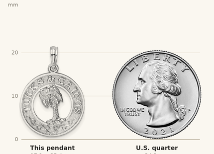 Classique True Size: De-Ani Sterling Silver Rhodium-Plated Textured Turks and Caicos Palm Tree Pendant shown next to a US quarter (24.3 mm)
