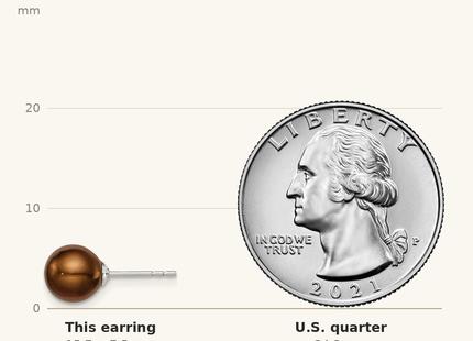Classique True Size: Sterling Silver Rhodium-plated 7- Brown Round Freshwater Cultured Pearl Post Earring shown next to a US quarter (24.3 mm)
