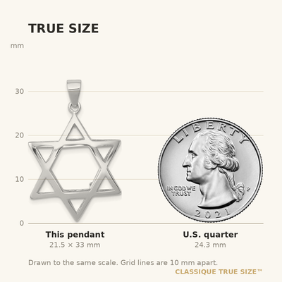 Sterling Silver Rhodium-plated Puffed Star of David Pendant
