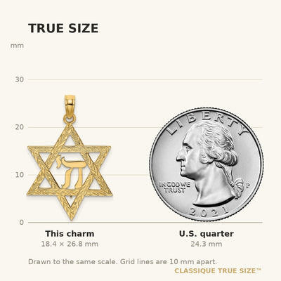 14K Star of David W/ Chai Center Charm