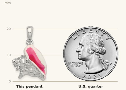Classique True Size: De-Ani Sterling Silver Rhodium-Plated Enameled Medium Conch Shell Pendant shown next to a US quarter (24.3 mm)