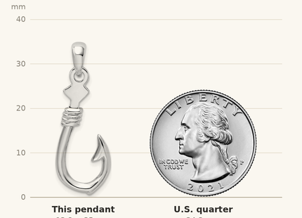 Classique True Size: De-Ani Sterling Silver Rhodium-plated Polished 3D Large Fish Hook with Rope Pendant shown next to a US quarter (24.3 mm)