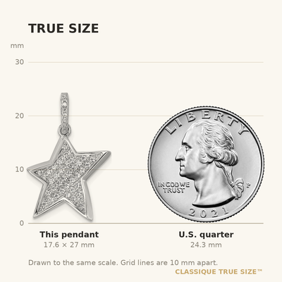 Sterling Silver Rhodium-plated Pavé CZ Concave Star Pendant