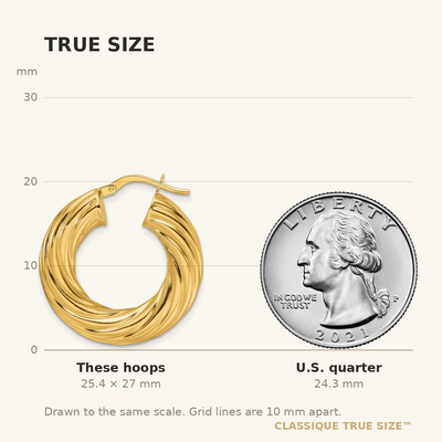 14K Yellow Gold Polished Twist Hollow Round Hoop Earrings