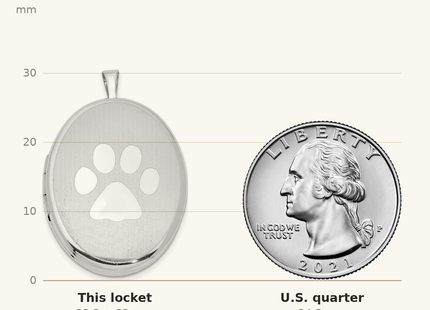 Classique True Size: Sterling Silver Rhod-plated Textured & Polished Paw Print Oval Locket shown next to a US quarter (24.3 mm)