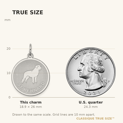 Sterling Silver Rhodium-plated St. Bernard Disc Charm