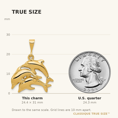 14K Dolphin Charm, 31 x 23mm