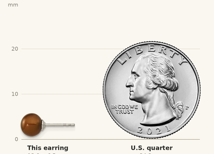 Classique True Size: Sterling Silver Rhodium-plated 6- Brown Round Freshwater Cultured Pearl Post Earring shown next to a US quarter (24.3 mm)