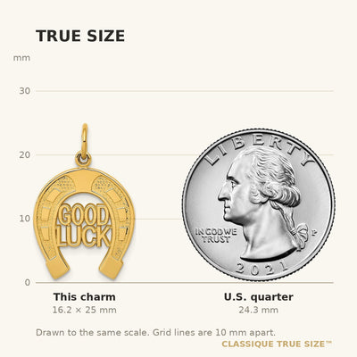 14K Horseshoe Good Luck Charm