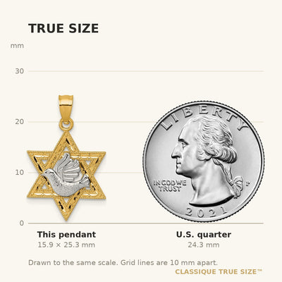 14K Two-tone Textured Dove On Star Of David Pendant