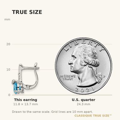 Sterling Silver Rhodium-plated Swiss BT/White Topaz Circle Hinged Earrings