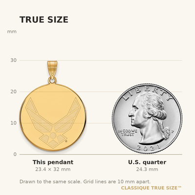 Sterling Silver Gold-plated LogoArt U.S. Air Force Extra Large Disc Pendant