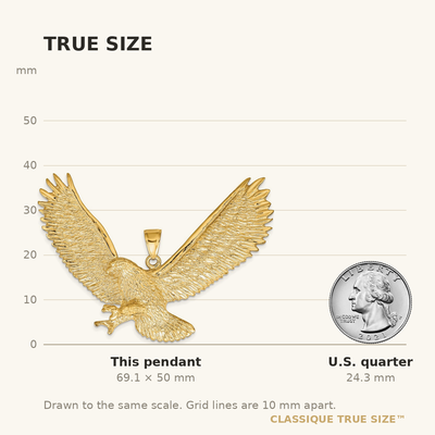 14K Eagle Pendant, 50 x 65mm