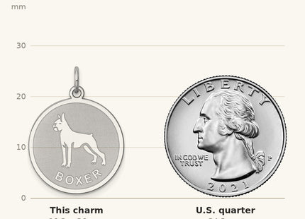 True size: Sterling Silver Rhodium-plated Boxer Disc Charm shown next to a US quarter (24.3 mm)