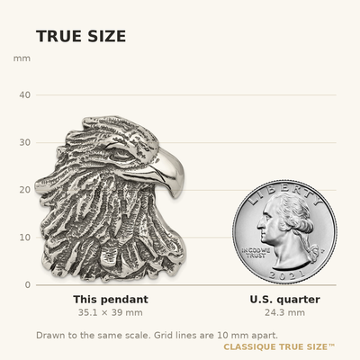 Sterling Silver Antiqued Eagle Head Pendant