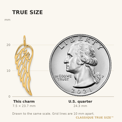 Sterling Silver Gold-tone Polished Angel Wing Charm