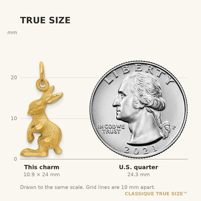 14K Jack Rabbit Charm