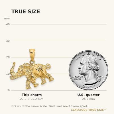 14K 3-D Elephant Profile w/ Tusk Charm