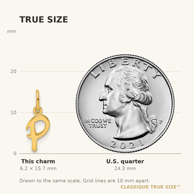 Sterling Silver Gold-tone Polished Letter P Initial Charm