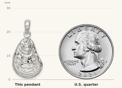 Classique True Size: De-Ani Sterling Silver Rhodium-Plated Polished and Textured 3D Oyster Shell Pendant shown next to a US quarter (24.3 mm)