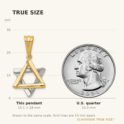 14K Two-tone Star of David Pendant, 28 x 16mm