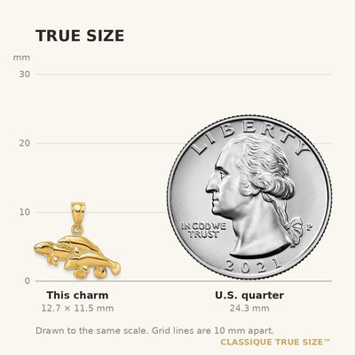 14K Polished Triple Manatee Charm