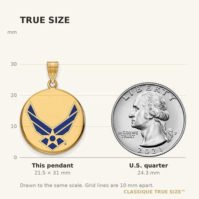 14K Gold LogoArt U.S. Air Force Lg Enamel Disc Pendant