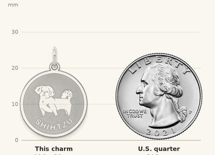 True size: Sterling Silver Rhodium-plated Shih Tzu Disc Charm shown next to a US quarter (24.3 mm)