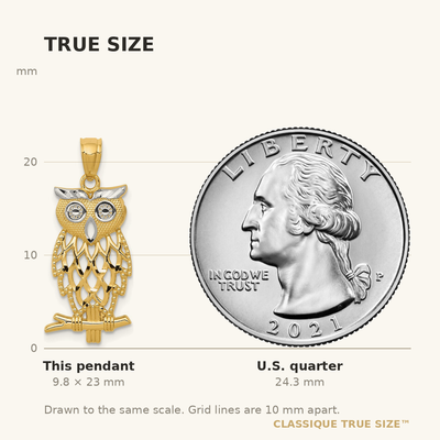 14K Yellow Gold Rhodium Diamond Cut Owl Pendant