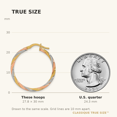 14K with Rose and White Rhodium Polished Twisted 2.00 x Tube Hoop Earrings, 30 x 1.75mm