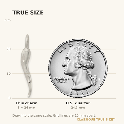 Sterling Silver Satin Italian Horn Charm