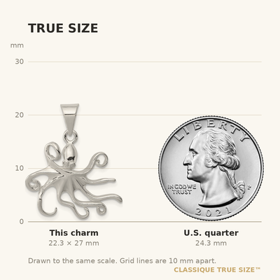 Sterling Silver Octopus Charm, 27 x 24mm