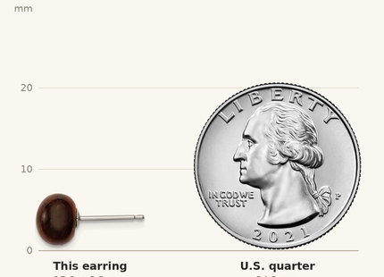 Classique True Size: Sterling Silver Rhod-pltd 8- Tiger's Eye Button Post Earrings shown next to a US quarter (24.3 mm)