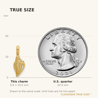 14K Mini Conch Shell Charm, 15.5 x 6mm