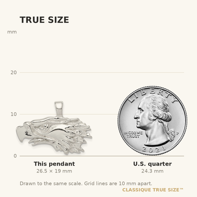 Sterling Silver Eagle Pendant, 19 x 28mm