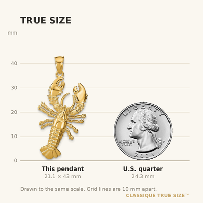 14K Lobster Pendant, 43 x 22mm