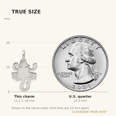 Sterling Silver Scorpion Charm