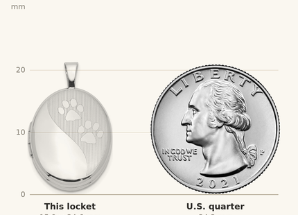 Classique True Size: Sterling Silver Rhodium-plated Satin & Polished Paw Prints Oval Locket shown next to a US quarter (24.3 mm)