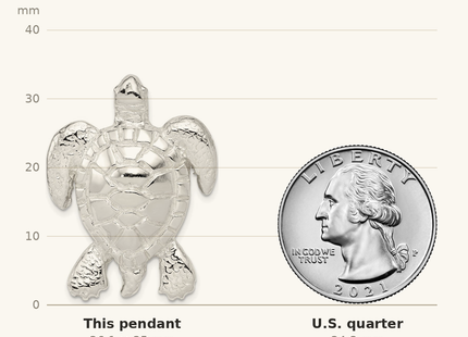 Classique True Size: Sterling Silver Polished & Textured Turtle Chain Slide Pendant shown next to a US quarter (24.3 mm)